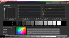 CalMAN scala di grigi calibrata