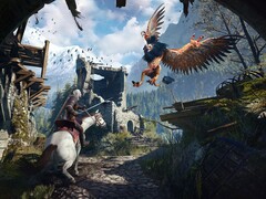 Immagine dal gioco The Witcher 3: Wild Hunt. (Fonte: Steam)