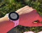 Il Garmin Forerunner 55 (nella foto) sta ricevendo un nuovo aggiornamento. (Fonte: Garmin)