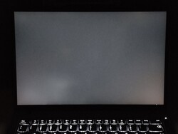 Moderato sanguinamento della retroilluminazione (qui mostrato migliorato)