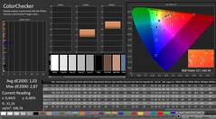 CalMAN: ColorChecker (calibrato)