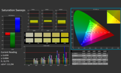 Saturazione del colore calibrata da Calman