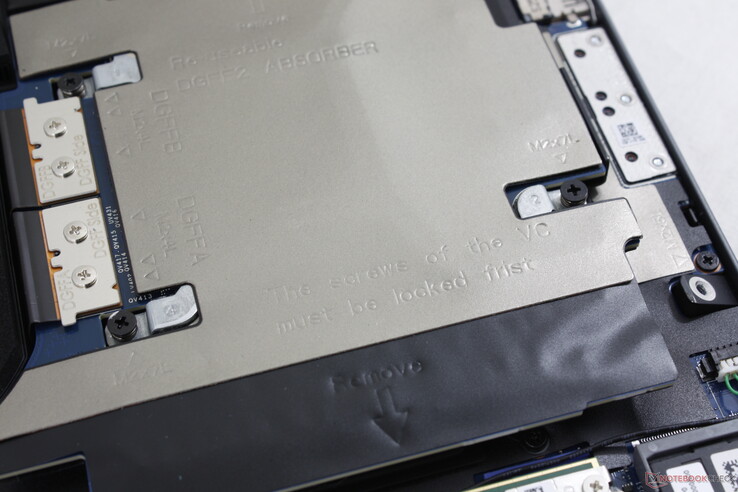 scheda DGFF rimovibile con un (probabile) errore di ortografia sullo scudo