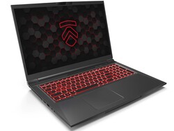 Recensione del Laptop Eluktronics RP-17. Dispositivo di test fornito da Eluktronics