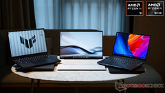 L'evento di lancio dei laptop della serie Ryzen AI 300 di Asus è stato rinviato al 17 luglio (Fonte: Notebookcheck)