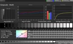 Scala di grigi (profilo: Professional, spazio colore di destinazione: sRGB)