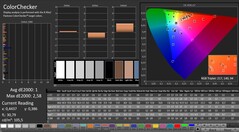 CalMAN: ColorChecker (calibrato)