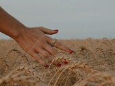 L'anello Noise Luna è stato lanciato in India, anche se attualmente non è disponibile. (Fonte: Noise)