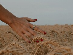 L'anello Noise Luna è stato lanciato in India, anche se attualmente non è disponibile. (Fonte: Noise)