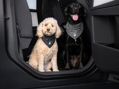 Bandana Tesla "Dog Mode"