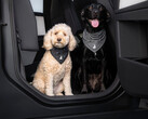 Bandana Tesla "Dog Mode"