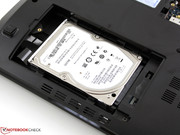 L'hard drive Seagate è molto rumoroso, è questo che determina il rumore del computer, non la ventola.