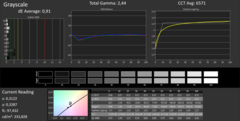 CalMAN Grayscale calibrata