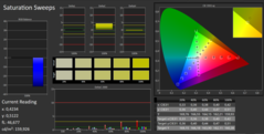 CalMAN Saturation Sweeps calibrata