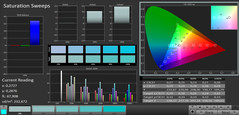 CalMAN Saturation Sweeps sRGB