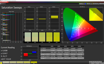 Saturation Sweeps (Profile: Warm, target color space: P3)