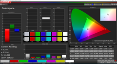 Color space coverage (CalMAN, gamma di colore target sRGB)