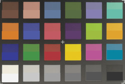 ColorChecker Passport: I colori target sono mostrati nella metà inferiore di ogni patch.