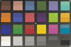 ColorChecker Passport: I colori target sono mostrati nella metà inferiore di ogni patch.