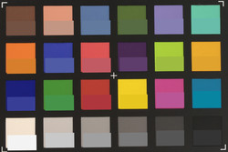 Immagine di ColorChecker Passport: Il colore target è visualizzato nella metà inferiore di ogni quadretto.