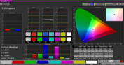 CalMAN Colorspace con la nostra calibrazione