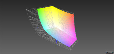 Copertura gamma di colore Adobe RGB: 65.48%