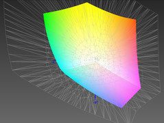 Copertura spazio colore ProPhoto RGB: 40.62%