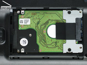 Nulla attutisce l'HDD ed il case, infatti l'HDD si sente.