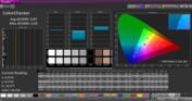 CalMAN ColorChecker con la nostra calibrazione