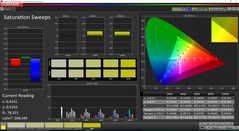 Saturation Sweeps (gamma di colore target sRGB)