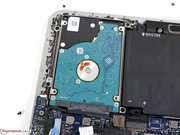 L'HDD convenzionale offre molto spazio, ulteriormente aumentato da un veloce SSD mSATA.