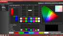 CalMAN Color Management (pre calibrazione)