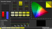 CalMAN: Saturation Sweeps (calibrato)