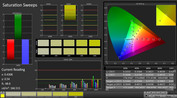 CalMAN: Saturation Sweeps (calibrato)