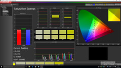 CalMAN - Saturation Sweeps (post-calibration)