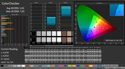 CalMAN: ColorChecker (calibrato)