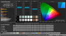 CalMAN: ColorChecker (calibrato)