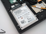 Per l'archiviazione è stato usato un veloce SSD di Samsung.