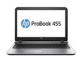 Recensione breve del Portatile HP ProBook 455 G3 T1B79UT