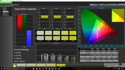 CalMAN Saturation Sweeps before calibration