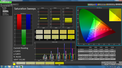 CalMAN - Color saturation (calibrated)