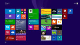 Microsoft Windows 8.1 (64-bit) è preinstallato.