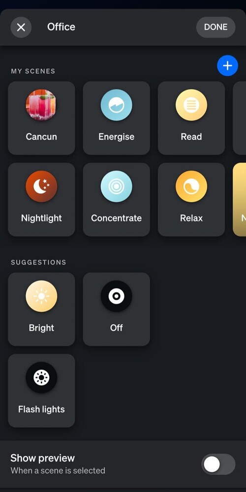 Il toggle 'Mostra anteprima' viene visualizzato nella parte inferiore della pagina di selezione della scena. (Fonte immagine: Notebookcheck)