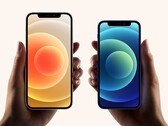 L'iPhone 12 mini non è andato giù bene alle persone finora, a differenza del resto della serie iPhone 12. (Fonte immagine: Apple)