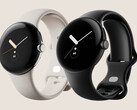 Il Pixel Watch sarà disponibile in più delle opzioni di silicone che Google ha mostrato finora. (Fonte: Google)