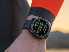 Alcuni smartwatch Garmin Fenix 8 presentano problemi legati all'acqua fredda. (Fonte: Garmin)