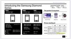 Informazioni sul Samsung Diamond. (Fonte: Reddit)