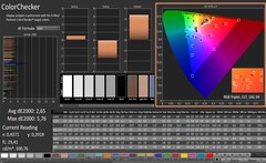 CalMAN: ColorChecker (calibrato)