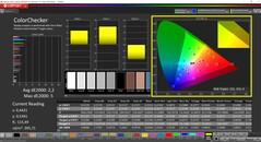 CalMAN ColorChecker calibrato