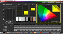 CalMAN ColorChecker (Profilo: P3)